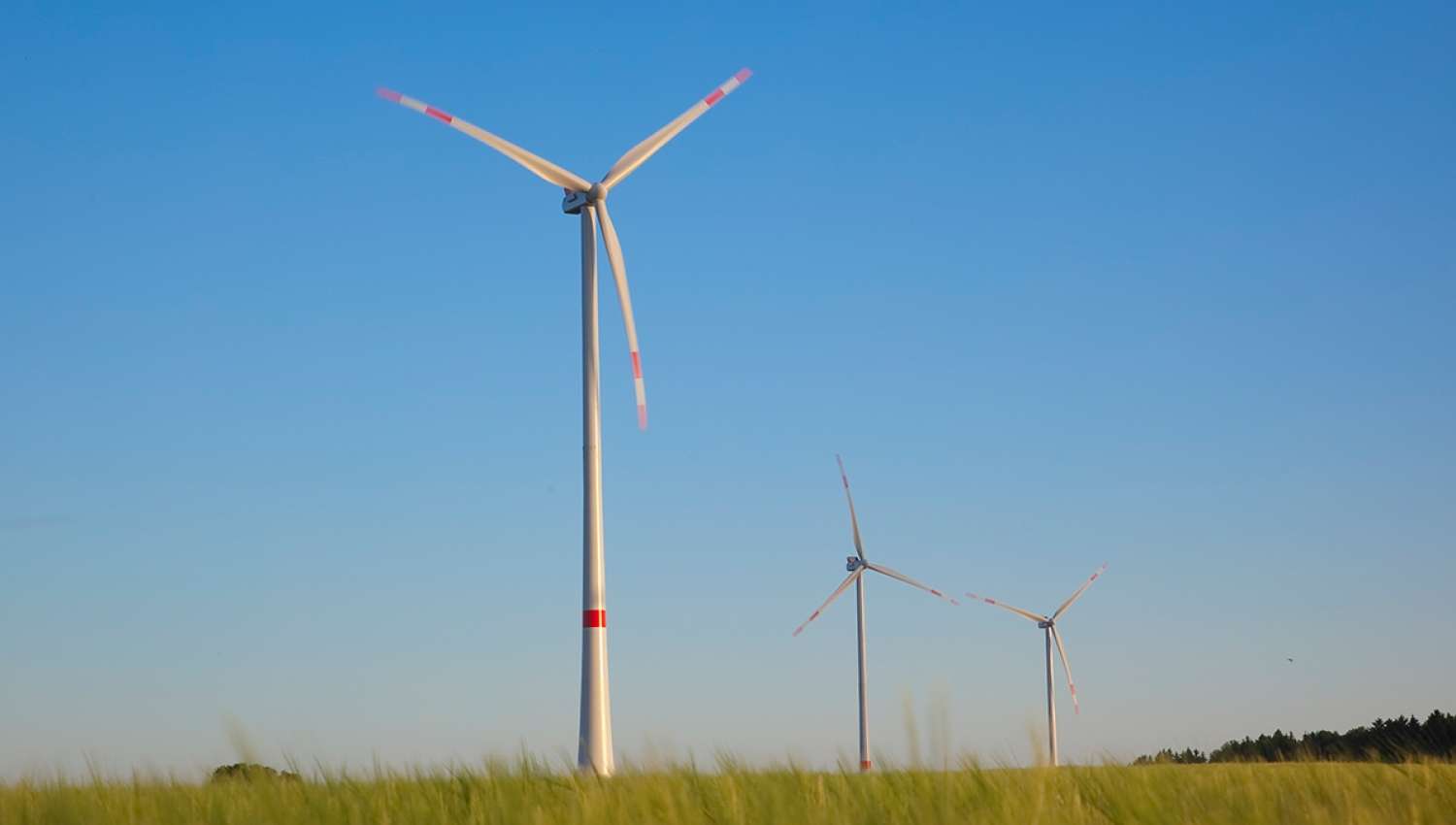 DEHN Pressemitteilung im März 2022